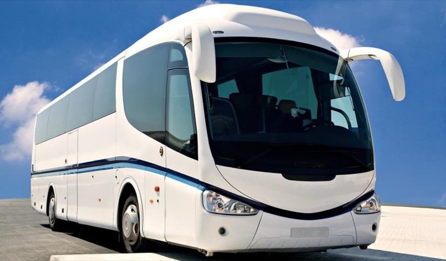 Animabus